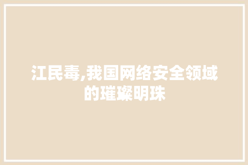 江民毒,我国网络安全领域的璀璨明珠