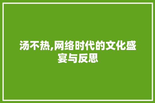 汤不热,网络时代的文化盛宴与反思