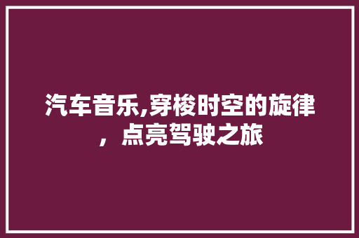 汽车音乐,穿梭时空的旋律，点亮驾驶之旅 建站教程