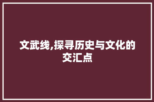 文武线,探寻历史与文化的交汇点 SEO教程