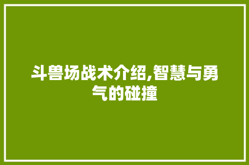 斗兽场战术介绍,智慧与勇气的碰撞