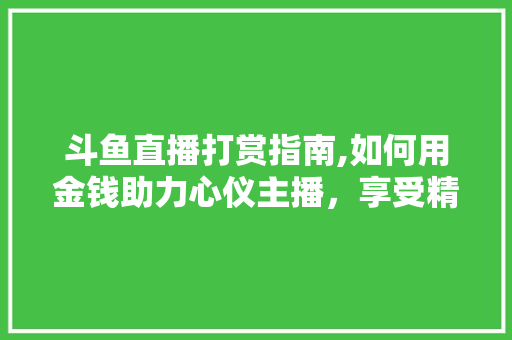 斗鱼直播打赏指南,如何用金钱助力心仪主播，享受精彩直播体验