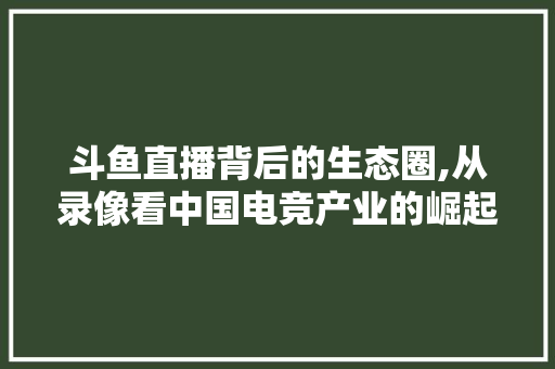 斗鱼直播背后的生态圈,从录像看中国电竞产业的崛起 服务器/数据库