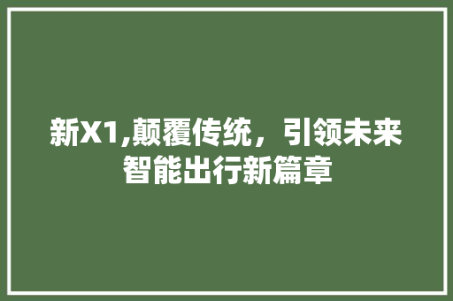 新X1,颠覆传统，引领未来智能出行新篇章 SEO教程
