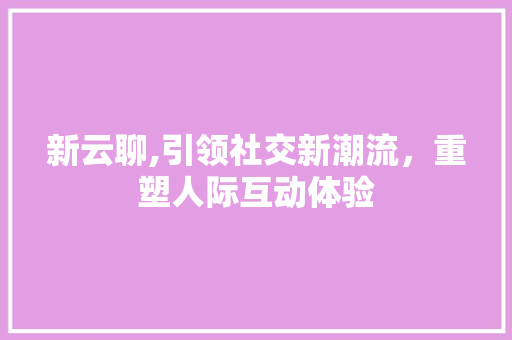 新云聊,引领社交新潮流，重塑人际互动体验 WordPress教程