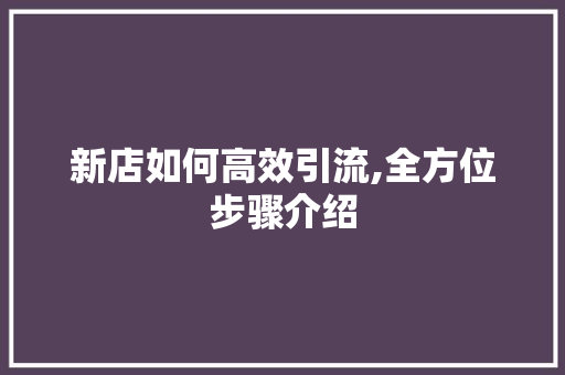 新店如何高效引流,全方位步骤介绍 WordPress教程