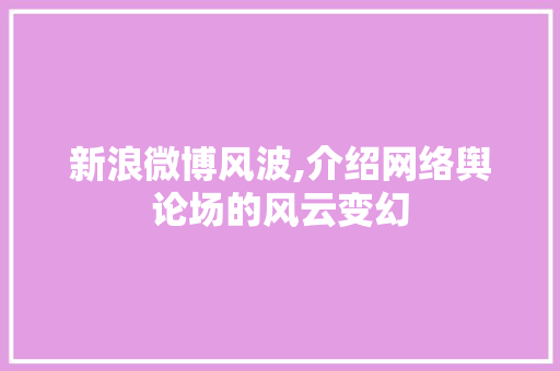 新浪微博风波,介绍网络舆论场的风云变幻