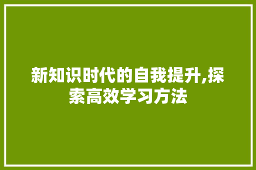 新知识时代的自我提升,探索高效学习方法 服务器/数据库
