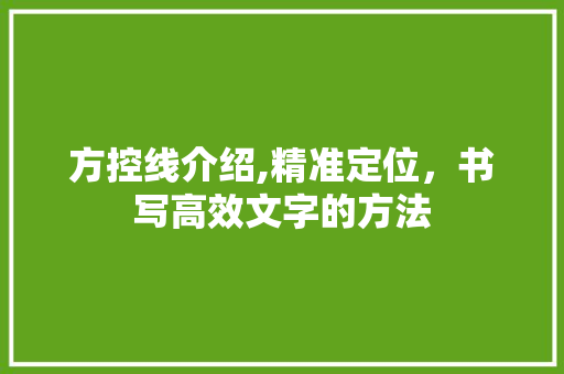 方控线介绍,精准定位，书写高效文字的方法