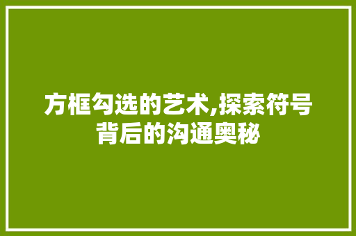 方框勾选的艺术,探索符号背后的沟通奥秘