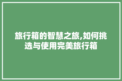 旅行箱的智慧之旅,如何挑选与使用完美旅行箱