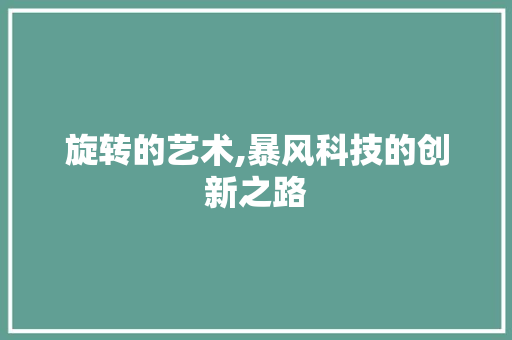 旋转的艺术,暴风科技的创新之路