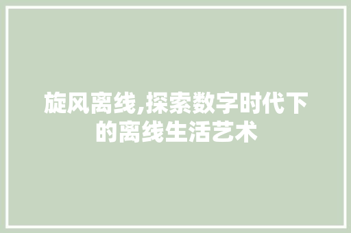 旋风离线,探索数字时代下的离线生活艺术