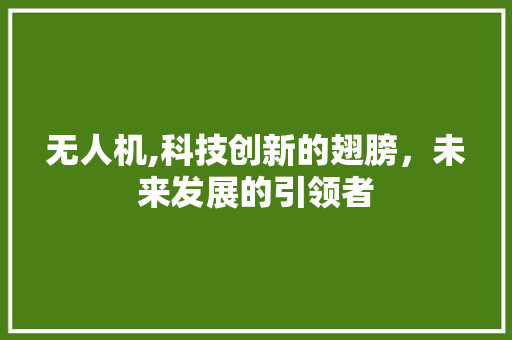 无人机,科技创新的翅膀，未来发展的引领者