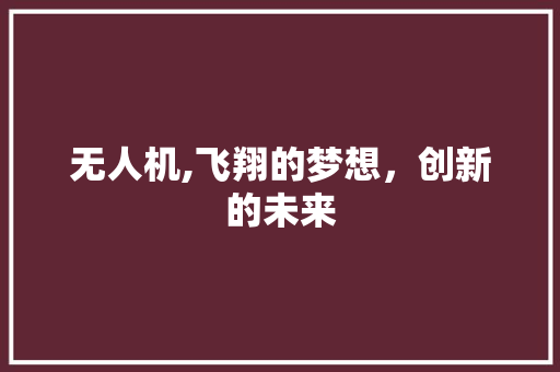 无人机,飞翔的梦想，创新的未来