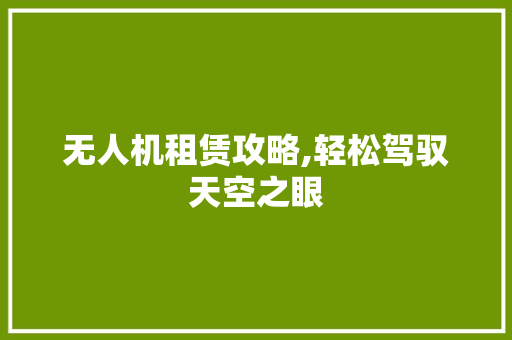 无人机租赁攻略,轻松驾驭天空之眼