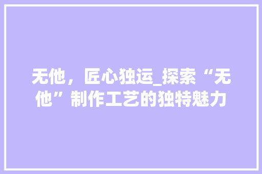 无他，匠心独运_探索“无他”制作工艺的独特魅力