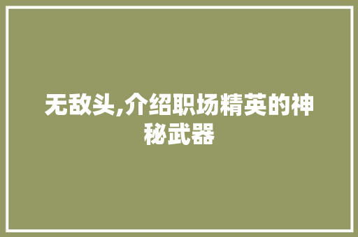 无敌头,介绍职场精英的神秘武器