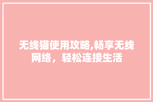 无线猫使用攻略,畅享无线网络，轻松连接生活
