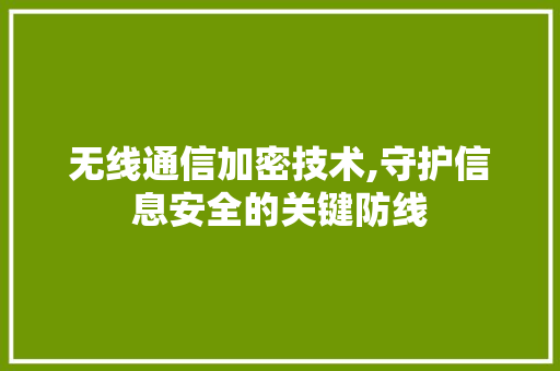 无线通信加密技术,守护信息安全的关键防线 Web前端