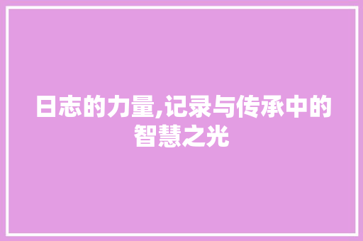 日志的力量,记录与传承中的智慧之光