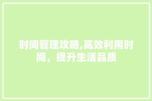 时间管理攻略,高效利用时间，提升生活品质