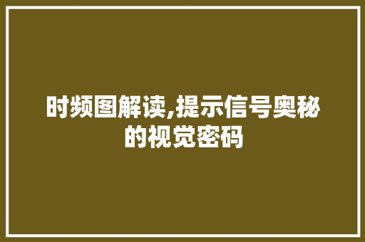 时频图解读,提示信号奥秘的视觉密码
