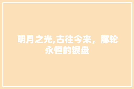 明月之光,古往今来，那轮永恒的银盘