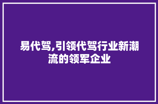 易代驾,引领代驾行业新潮流的领军企业