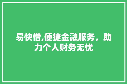 易快借,便捷金融服务，助力个人财务无忧