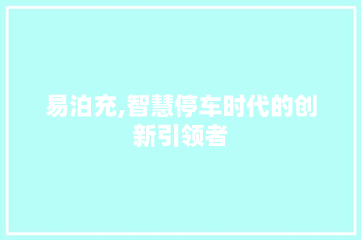 易泊充,智慧停车时代的创新引领者 建站教程
