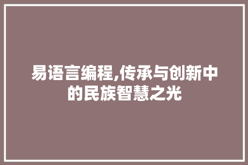易语言编程,传承与创新中的民族智慧之光