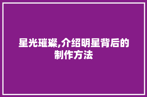星光璀璨,介绍明星背后的制作方法 Web前端