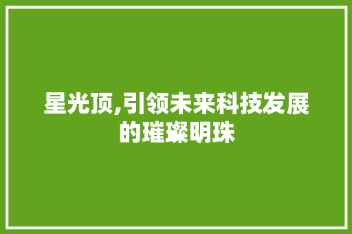 星光顶,引领未来科技发展的璀璨明珠
