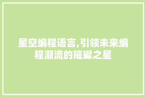 星空编程语言,引领未来编程潮流的璀璨之星