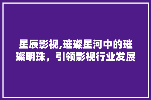 星辰影视,璀璨星河中的璀璨明珠，引领影视行业发展新风尚 服务器/数据库