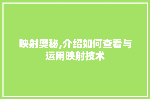 映射奥秘,介绍如何查看与运用映射技术 WordPress教程