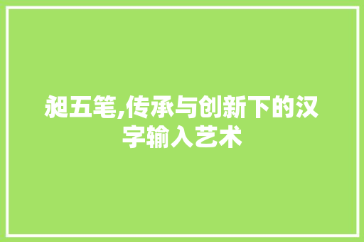 昶五笔,传承与创新下的汉字输入艺术