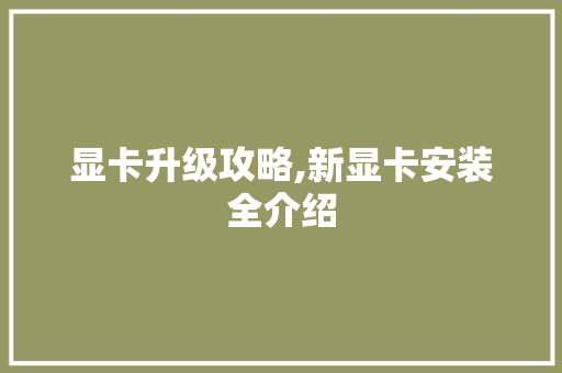 显卡升级攻略,新显卡安装全介绍