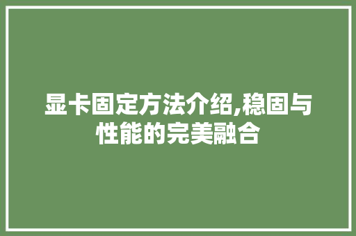 显卡固定方法介绍,稳固与性能的完美融合 友链在线