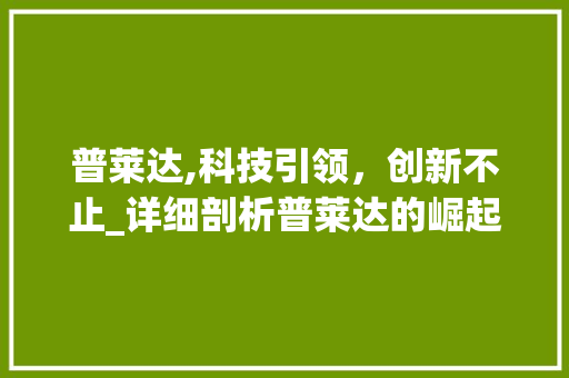普莱达,科技引领，创新不止_详细剖析普莱达的崛起之路