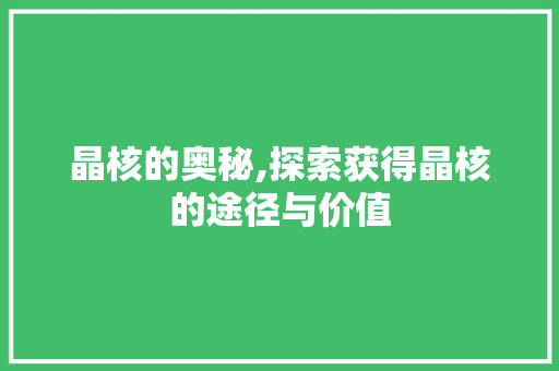 晶核的奥秘,探索获得晶核的途径与价值 SEO教程