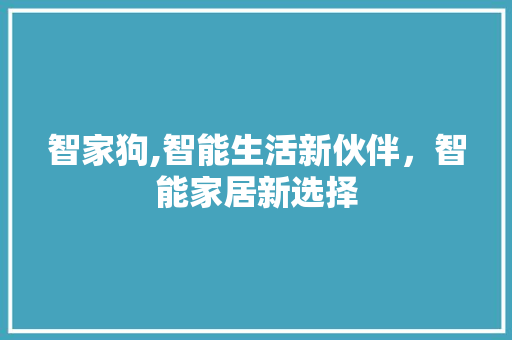 智家狗,智能生活新伙伴，智能家居新选择 服务器/数据库