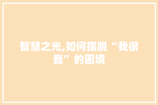 智慧之光,如何摆脱“我很蠢”的困境 建站教程