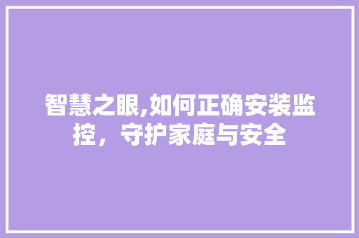 智慧之眼,如何正确安装监控，守护家庭与安全 Web前端