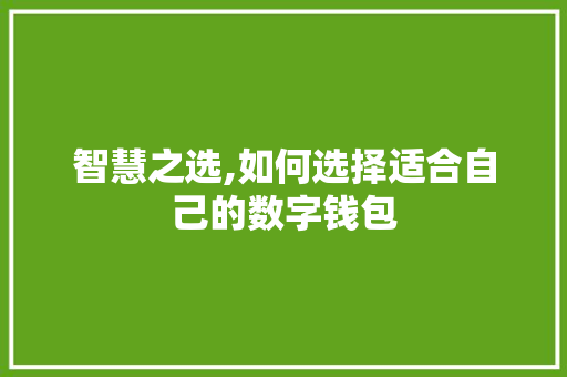 智慧之选,如何选择适合自己的数字钱包