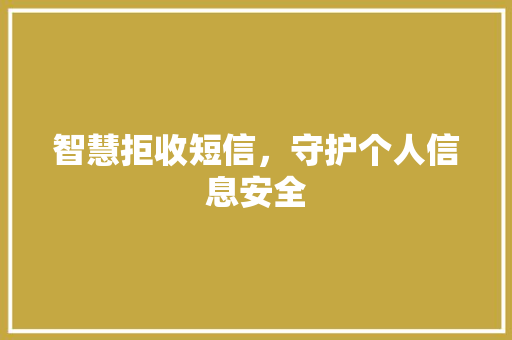 智慧拒收短信，守护个人信息安全 建站教程