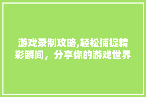游戏录制攻略,轻松捕捉精彩瞬间，分享你的游戏世界 建站教程