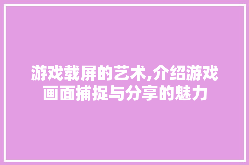 游戏载屏的艺术,介绍游戏画面捕捉与分享的魅力 SEO教程