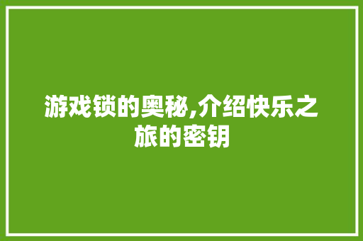 游戏锁的奥秘,介绍快乐之旅的密钥